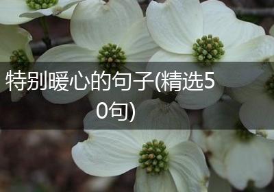 特别暖心的句子(精选50句)