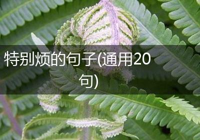 特别烦的句子(通用20句)
