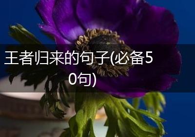 王者归来的句子(必备50句)
