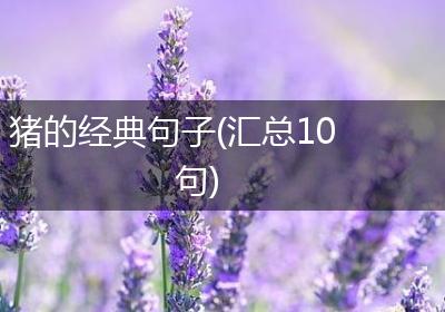 猪的经典句子(汇总10句)