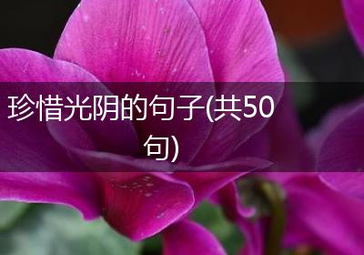 珍惜光阴的句子(共50句)