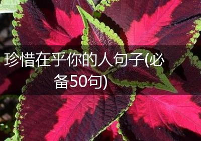 珍惜在乎你的人句子(必备50句)