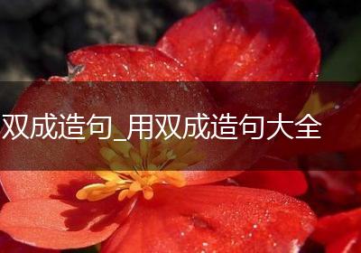 双成造句_用双成造句大全