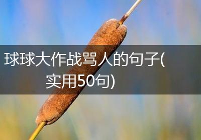 球球大作战骂人的句子(实用50句)