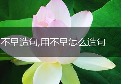 不早造句,用不早怎么造句