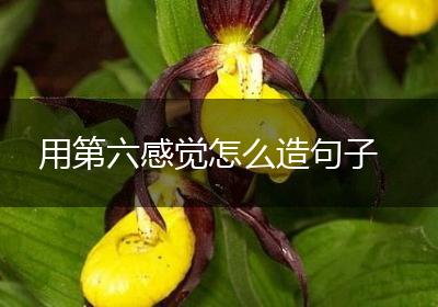 用第六感觉怎么造句子
