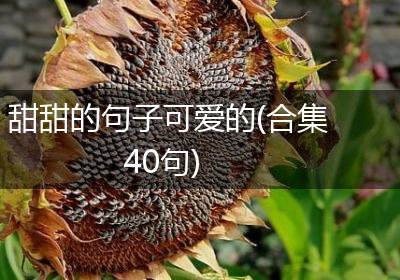 甜甜的句子可爱的(合集40句)