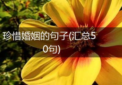 珍惜婚姻的句子(汇总50句)