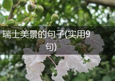 瑞士美景的句子(实用9句)