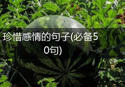 珍惜感情的句子(必备50句)