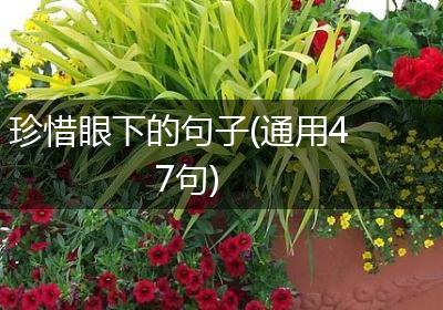 珍惜眼下的句子(通用47句)