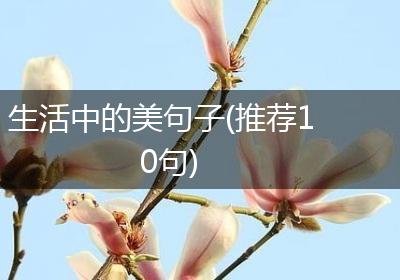 生活中的美句子(推荐10句)
