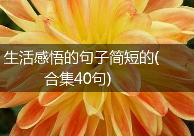 生活感悟的句子简短的(合集40句)