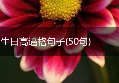 生日高逼格句子(50句)