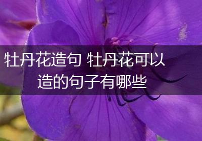 牡丹花造句 牡丹花可以造的句子有哪些