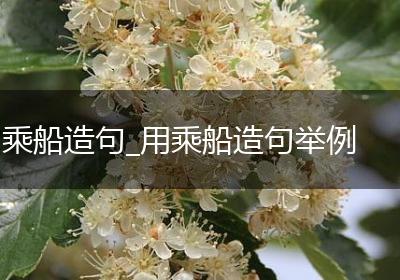 乘船造句_用乘船造句举例