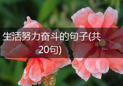 生活努力奋斗的句子(共20句)