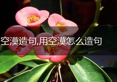 空漠造句,用空漠怎么造句