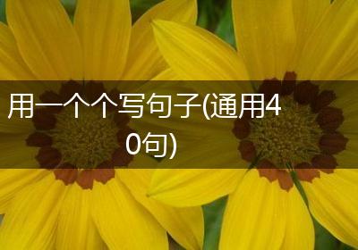 用一个个写句子(通用40句)