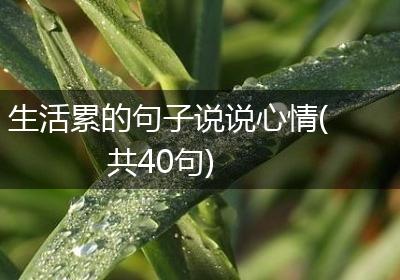 生活累的句子说说心情(共40句)