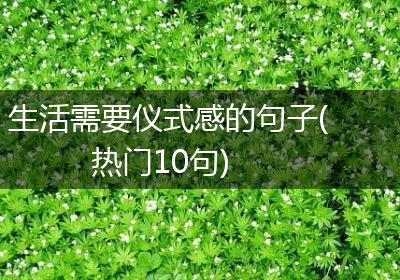 生活需要仪式感的句子(热门10句)