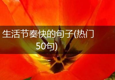 生活节奏快的句子(热门50句)