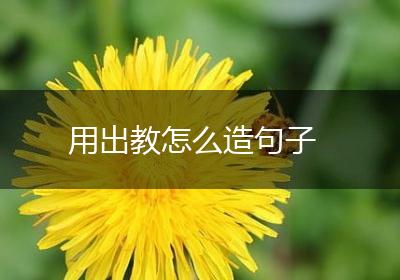 用出教怎么造句子