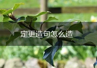 定更造句怎么造