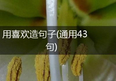 用喜欢造句子(通用43句)