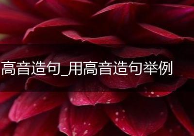 高音造句_用高音造句举例