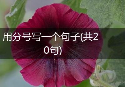 用分号写一个句子(共20句)