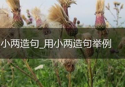 小两造句_用小两造句举例
