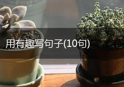 用有趣写句子(10句)
