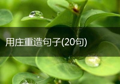 用庄重造句子(20句)