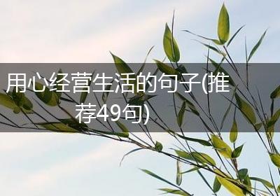 用心经营生活的句子(推荐49句)