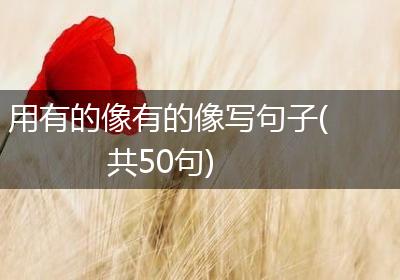 用有的像有的像写句子(共50句)