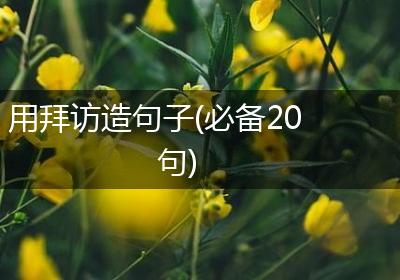 用拜访造句子(必备20句)