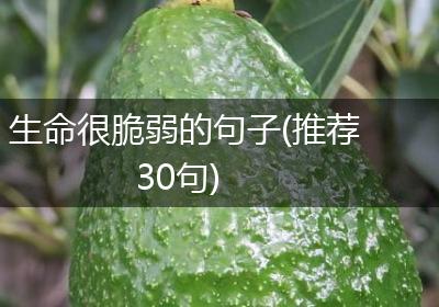 生命很脆弱的句子(推荐30句)