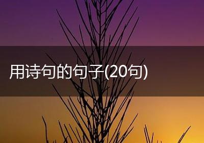 用诗句的句子(20句)