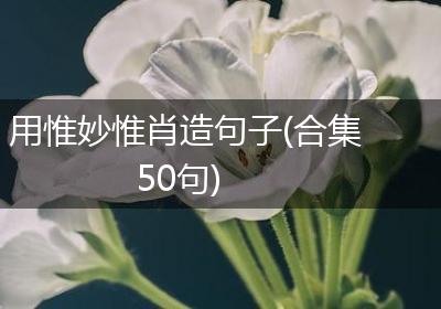 用惟妙惟肖造句子(合集50句)