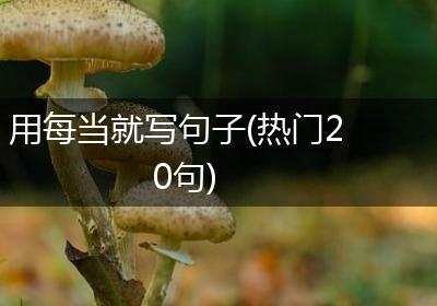 用每当就写句子(热门20句)