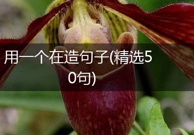 用一个在造句子(精选50句)