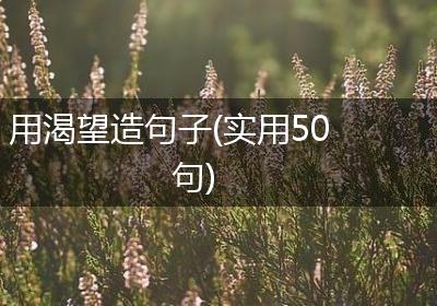 用渴望造句子(实用50句)