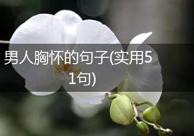 男人胸怀的句子(实用51句)