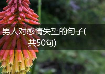 男人对感情失望的句子(共50句)