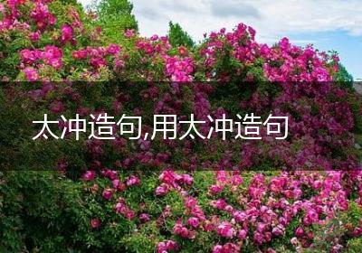 太冲造句,用太冲造句