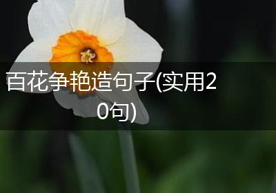 百花争艳造句子(实用20句)