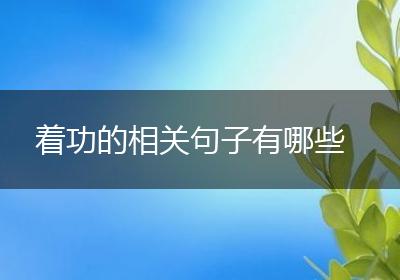 着功的相关句子有哪些