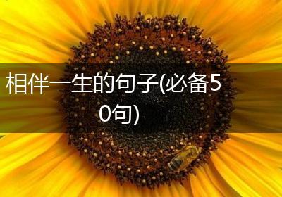 相伴一生的句子(必备50句)