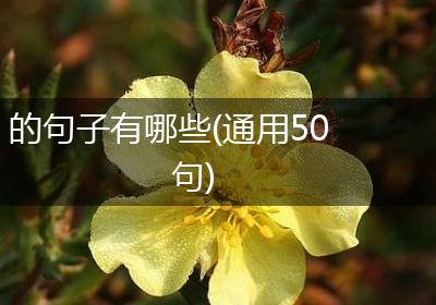 的句子有哪些(通用50句)